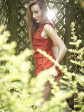 Secret Garden — photo 3 of 12