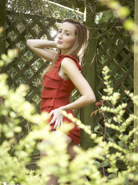 Secret Garden — photo 4 of 12