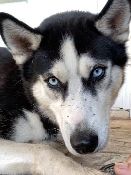 OnlyFans - Issy / @issyblack Scene 10 — photo 16 of 20