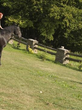 Ariel - Horse BTS (96x) — photo 16 of 96
