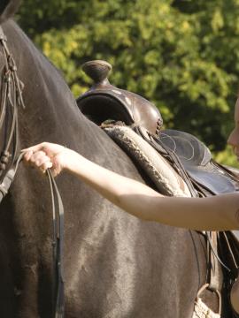Ariel - Horse BTS (96x) — photo 91 of 96