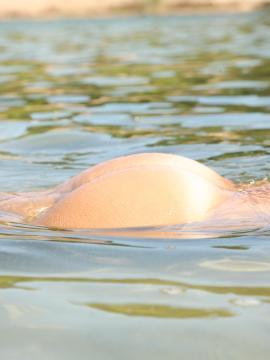 Sara skinny dipping in public — photo 5 of 24