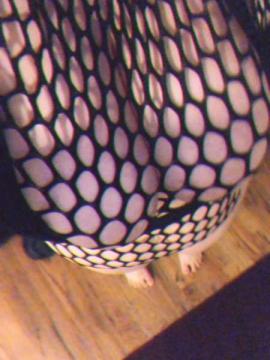 OnlyFans - Callie / chaosbycallie - 34K — photo 405 of 1006