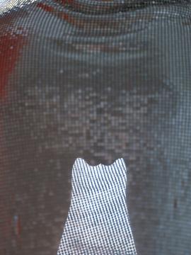 StasyQ / stasyq.vids Nude Leaks - Fapello — photo 40 of 51