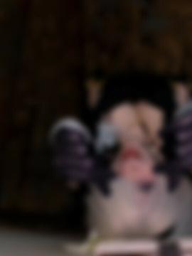 Emory / Eveilns / Eveilnss / brelandemory / gurochann Nude Leaks OnlyFans/Patreon - Fapello — photo 1134 of 1297