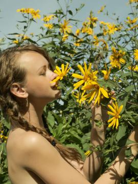 Vega - Field of daisies — photo 7 of 16