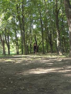 Woodland Desperation — photo 1 of 15