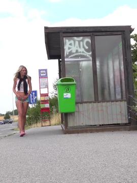 Public Bus Stop — photo 1 of 15