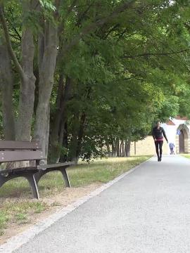 Pissing In The Park — photo 1 of 15