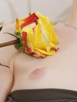 Yellow Rose — photo 13 of 16
