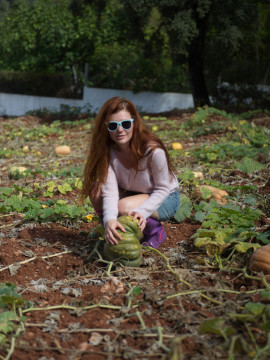 Pumpkin Patch — photo 2 of 12